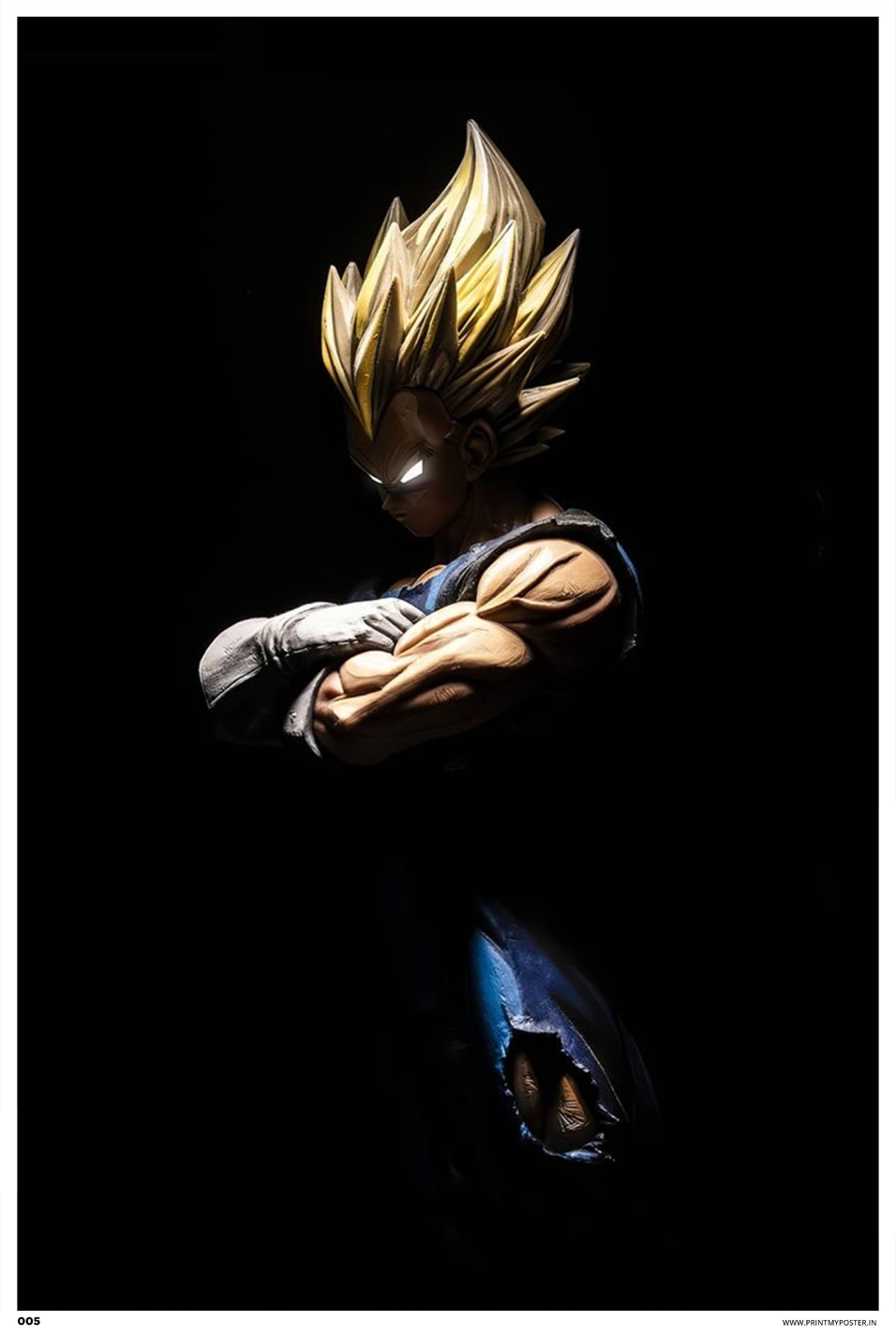 Dragon Ball Z - Vegeta Poster