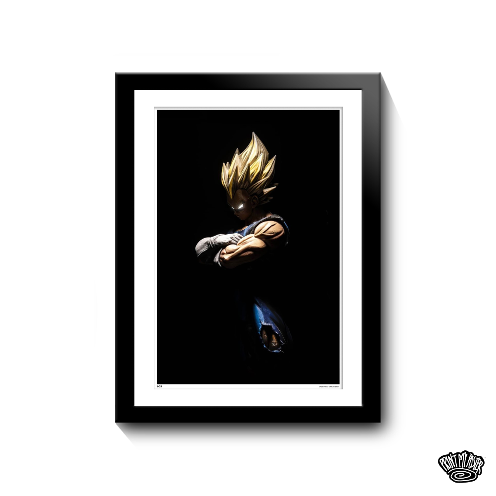 Dragon Ball Z - Vegeta Poster