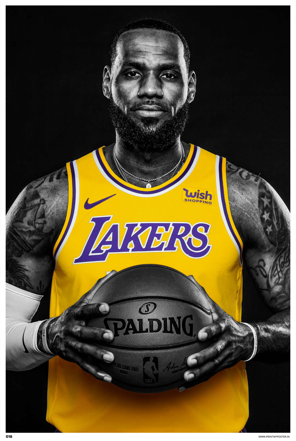 LeBron James VI