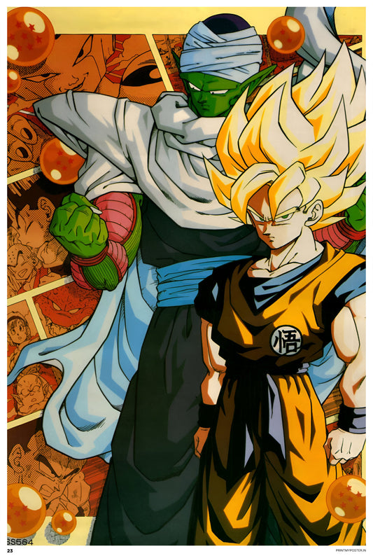 Dragon Ball Z - Goku X Piccolo